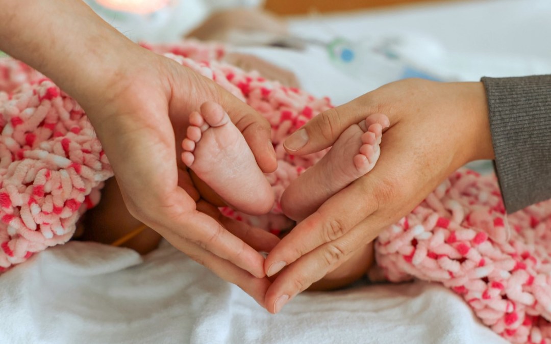 DANYLYSHYN, Brynlee Hope